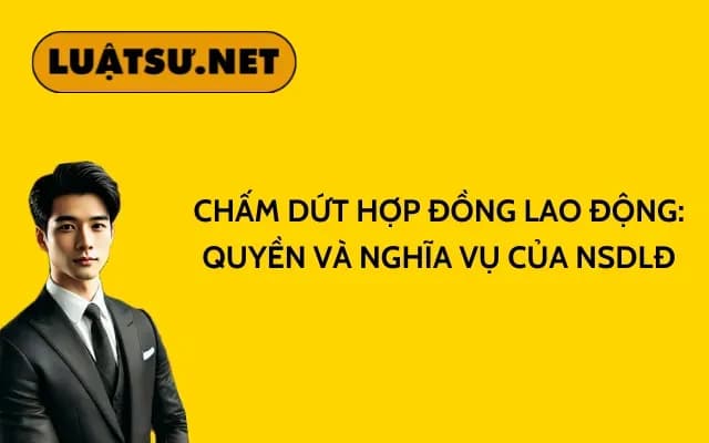 cham-dut-hop-dong-lao-dong-quyen-va-nghia-vu-cua-nsdld