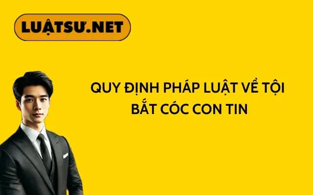 quy-dinh-phap-luat-ve-toi-bat-coc-con-tin