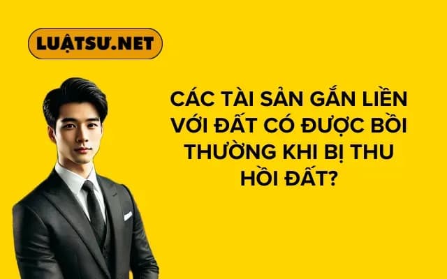 Bìa bài viết – NS12020225 (5)