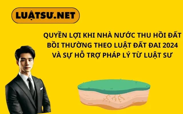 Bìa bài viết – NS12020225