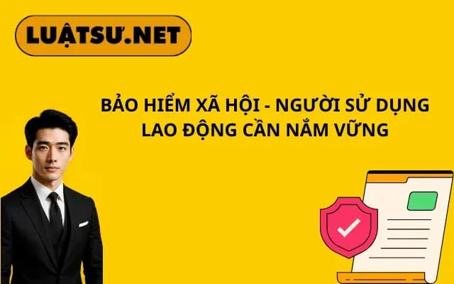bao-hiem-xa-hoi-nguoi-su-dung-lao-dong-can-nam-vung