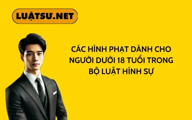 cac-hinh-phat-danh-cho-nguoi-duoi-18-tuoi-trong-bo-luat-hinh-su