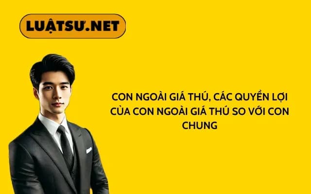con-ngoai-gia-thu-cac-quyen-loi-cua-con-ngoai-gia-thu-so-voi-con-chung
