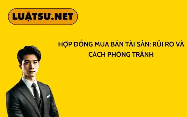 hop-dong-mua-ban-tai-san-rui-ro-va-cach-phong-tranh