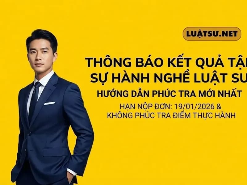 Hướng Dẫn Phúc Tra Kết Quả Kiểm Tra Tập Sự Hành Nghề Luật Sư & Mẫu Đơn Mới Nhất