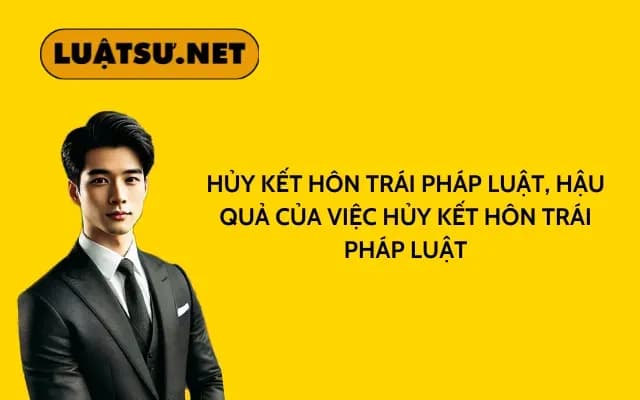 huy-ket-hon-trai-phap-luat-hau-qua-cua-viec-huy-ket-hon-trai-phap-luat
