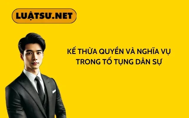 ke-thua-quyen-va-nghia-vu-trong-to-tung-dan-su