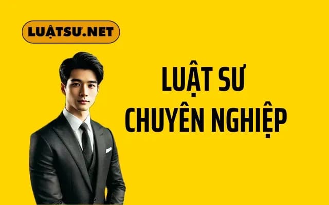 luật sư chuyên nghiệp