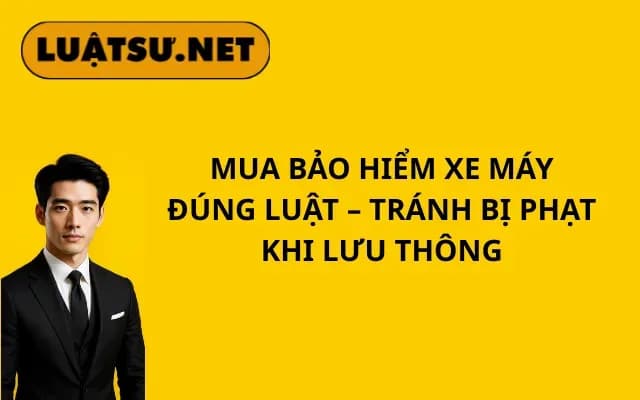 mua-bao-hiem-xe-may-dung-luat-tranh-bi-phat-khi-luu-thong