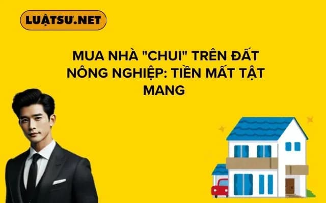 mua-nha-chui-tren-dat-nong-nghiep-tien-mat-tat-mang