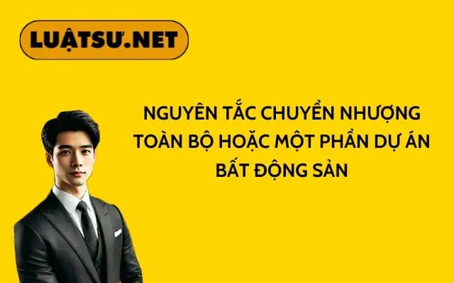 nguyen-tac-chuyen-nhuong-toan-bo-hoac-mot-phan-du-an-bat-dong-san
