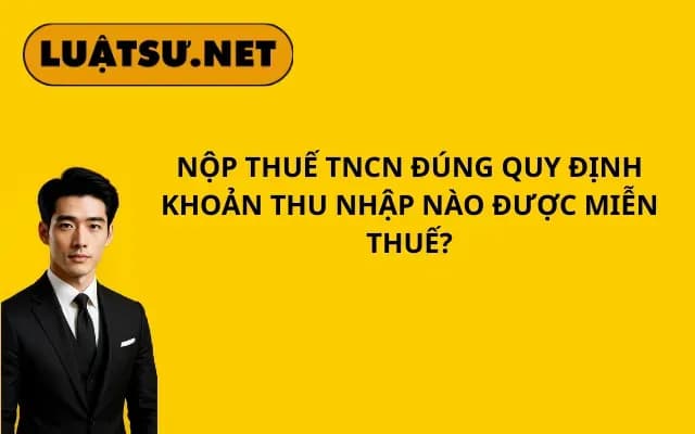 nop-thue-tncn-dung-quy-dinh-khoan-thu-nhap-nao-duoc-mien-thue