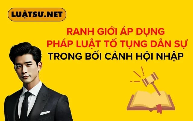 phan-dinh-ranh-gioi-ap-dung-phap-luat-to-tung-trong-boi-canh-hoi-nhap