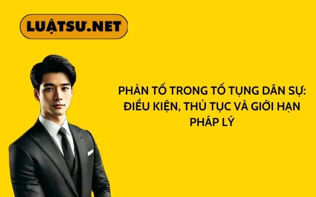 phan-to-trong-to-tung-dan-su-dieu-kien-thu-tuc-va-gioi-han-phap-ly