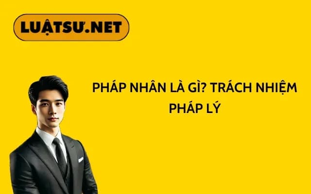 phap-nhan-la-gi-trach-nhiem-phap-ly