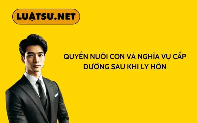 quyen-nuoi-con-va-nghia-vu-cap-duong-sau-khi-ly-hon