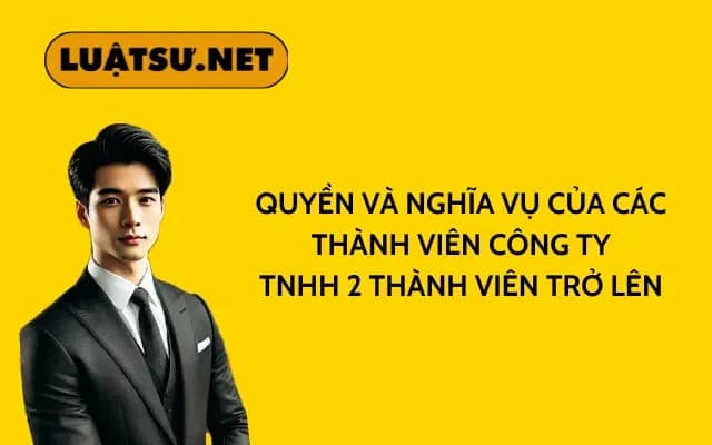 quyen-va-nghia-vu-cua-cac-thanh-vien-cong-ty-tnhh-2-thanh-vien-tro-len