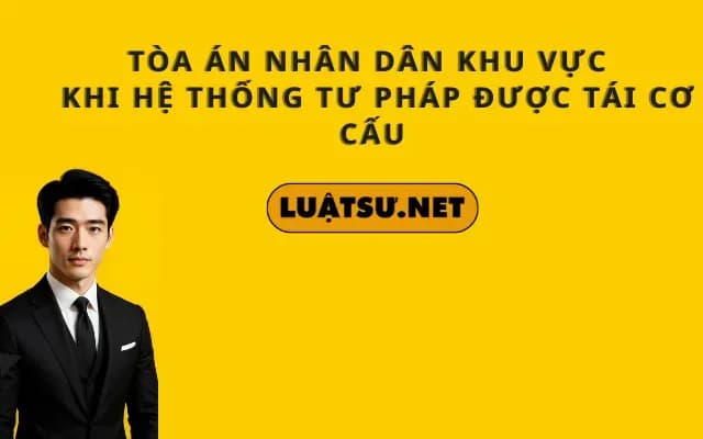 toa-an-nhan-dan-khu-vuc-khi-he-thong-tu-phap-duoc-tai-co-cau