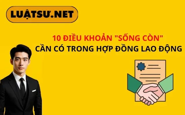 10-dieu-khoan-song-con-can-co-trong-hop-dong-lao-dong