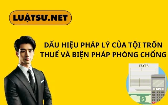 dau-hieu-phap-ly-cua-toi-tron-thue-va-bien-phap-phong-chong