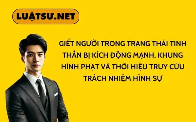 giet-nguoi-trong-trang-thai-tinh-than-bi-kich-dong-manh-khung-hinh-phat-va-thoi-hieu-truy-cuu-trach-nhiem-hinh-su