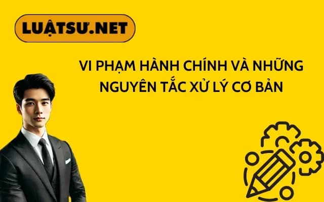 Bìa bài viết – NS12020225 (2)