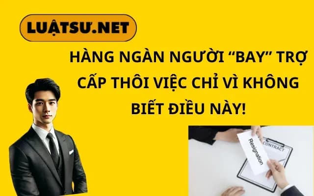 hang-ngan-nguoi-bay-tro-cap-thoi-viec-chi-vi-khong-biet-dieu-nay