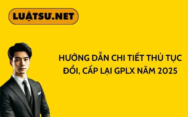 huong-dan-chi-tiet-thu-tuc-doi-cap-lai-gplx-nam-2025