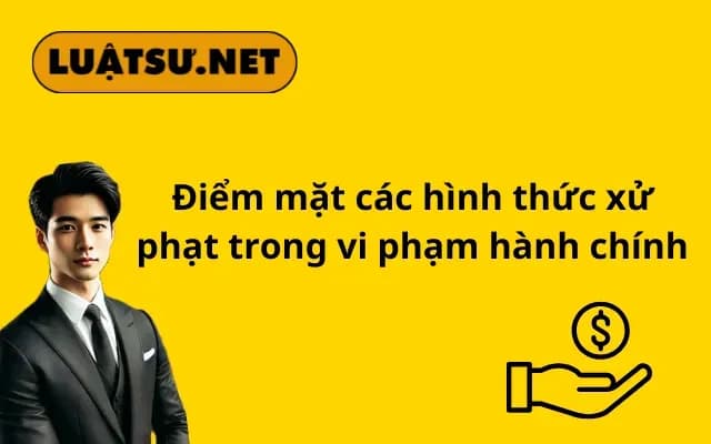 Bìa bài viết – NS12020225 (1)