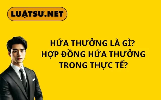 Bìa bài viết – NS12020225 (3)
