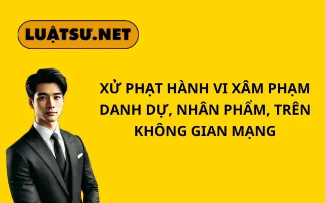 xu-phat-hanh-vi-xam-pham-danh-du-nhan-pham-tren-khong-gian-mang