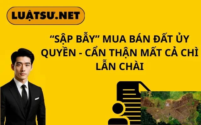 sap-bay-mua-ban-dat-uy-quyen-can-than-mat-ca-chi-lan-chai
