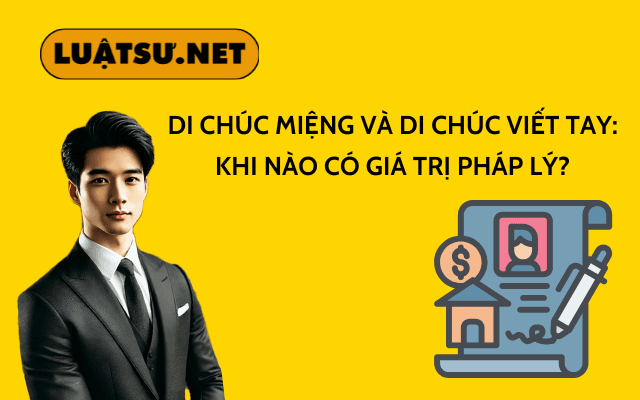 Bìa bài viết – NS225022025