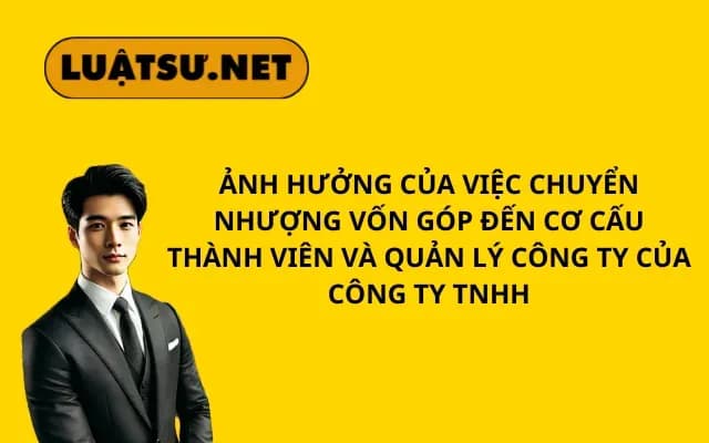 anh-huong-cua-viec-chuyen-nhuong-von-gop-den-co-cau-thanh-vien-va-quan-ly-cong-ty-cua-cong-ty-tnhh
