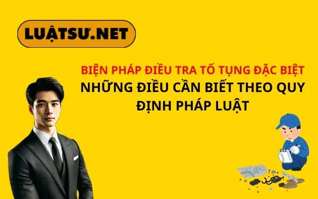 bien-phap-dieu-tra-to-tung-dac-biet-nhung-dieu-can-biet-theo-quy-dinh-phap-luat