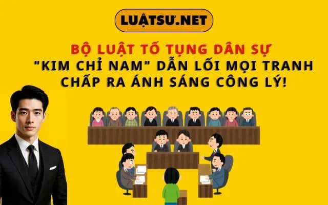 bo-luat-to-tung-dan-su-kim-chi-nam-dan-loi-moi-tranh-chap-ra-anh-sang-cong-ly