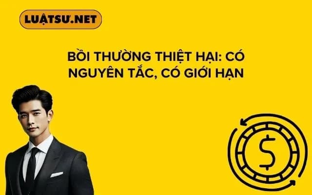 boi-thuong-thiet-hai-co-nguyen-tac-co-gioi-han