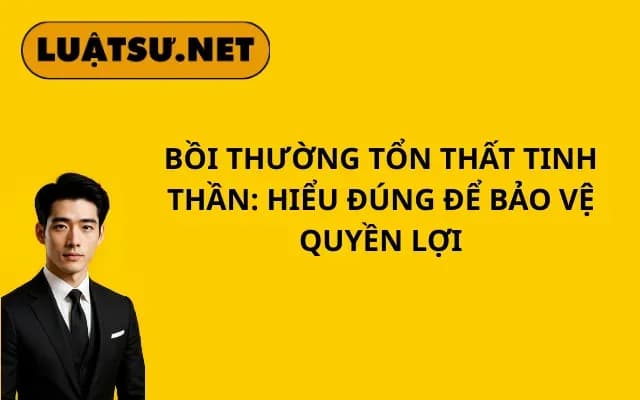 boi-thuong-ton-that-tinh-than-hieu-dung-de-bao-ve-quyen-loi