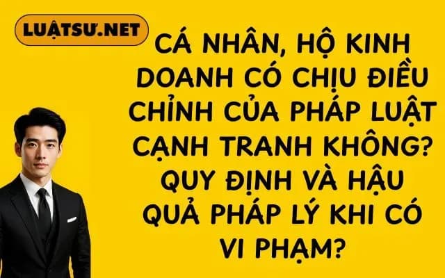 ca-nhan-ho-kinh-doanh-co-chiu-dieu-chinh-cua-phap-luat-canh-tranh-khong-quy-dinh-va-hau-qua-phap-ly-khi-co-vi-pham
