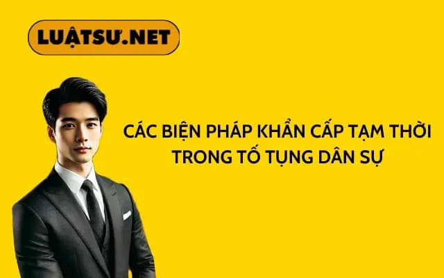 cac-bien-phap-khan-cap-tam-thoi-trong-to-tung-dan-su
