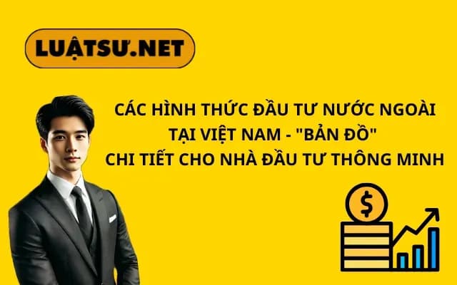 cac-hinh-thuc-dau-tu-nuoc-ngoai-tai-viet-nam-ban-do-chi-tiet-cho-nha-dau-tu-thong-minh