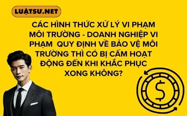 cac-hinh-thuc-xu-ly-vi-pham-moi-truong-doanh-nghiep-vi-pham-quy-dinh-ve-bao-ve-moi-truong-thi-co-bi-cam-hoat-dong-den-khi-khac-phuc-xong-khong