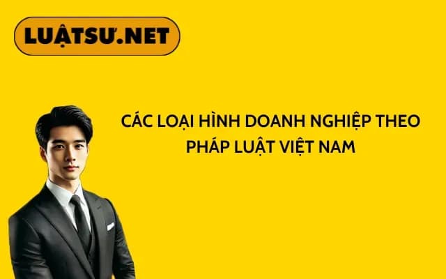 cac-loai-hinh-doanh-nghiep-theo-phap-luat-viet-nam