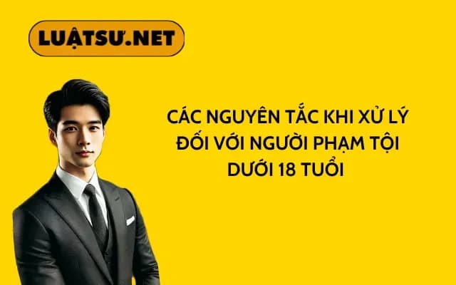 cac-nguyen-tac-khi-xu-ly-doi-voi-nguoi-pham-toi-duoi-18-tuoi
