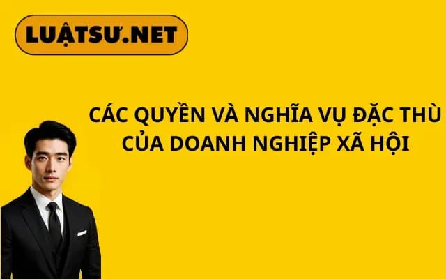cac-quyen-va-nghia-vu-dac-thu-cua-doanh-nghiep-xa-hoi