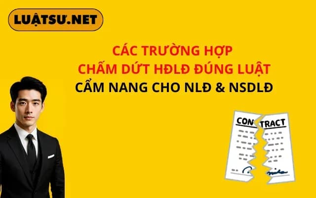 cac-truong-hop-cham-dut-hdld-dung-luat-cam-nang-cho-nld-nsdld
