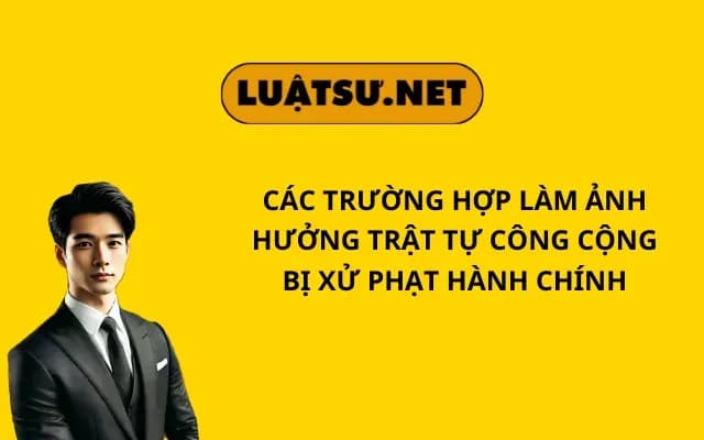 cac-truong-hop-lam-anh-huong-trat-tu-cong-cong-bi-xu-phat-hanh-chinh