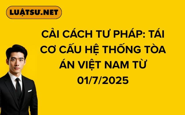 cai-cach-tu-phap-tai-co-cau-he-thong-toa-an-viet-nam-tu-01-7-2025