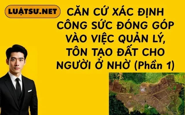 can-cu-xac-dinh-cong-suc-dong-gop-vao-viec-quan-ly-ton-tao-dat-cho-nguoi-o-nho-phan-1