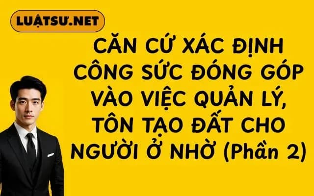 can-cu-xac-dinh-cong-suc-dong-gop-vao-viec-quan-ly-ton-tao-dat-cho-nguoi-o-nho-phan-2